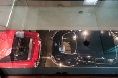 ガラス張りの床から階下を覗くとご覧のようになる