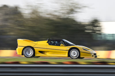 フェラーリ F50 ：F40の登場から8年後の1995年、フェラーの創立50周年を記念して発表された