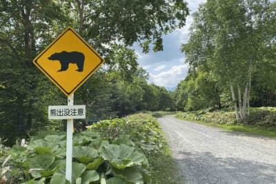 熊などの野生動物に遭遇しやすい場所には注意を促す標識がある