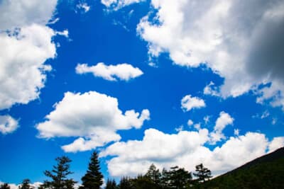 ゲリラ豪雨ののち、青空が……