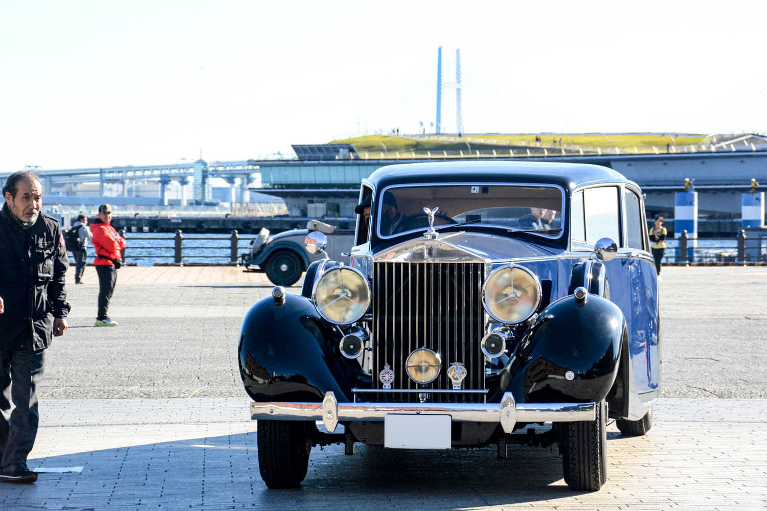 無頼の青春 ハロルド・ロビンス　 大変古いものです。 無頼の青春 ハロルド・ロビンス 大変古いものです。