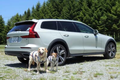 愛犬を日ごろから乗せているクルマの車内のクリーニングの基本は、換気に尽きる