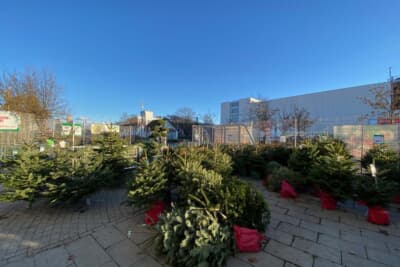 近所のホームセンターのクリスマスツリー売り場