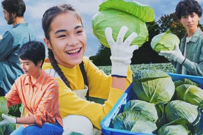 食材の産地にもこだわり、おでかけ先となる各地の食材を使用