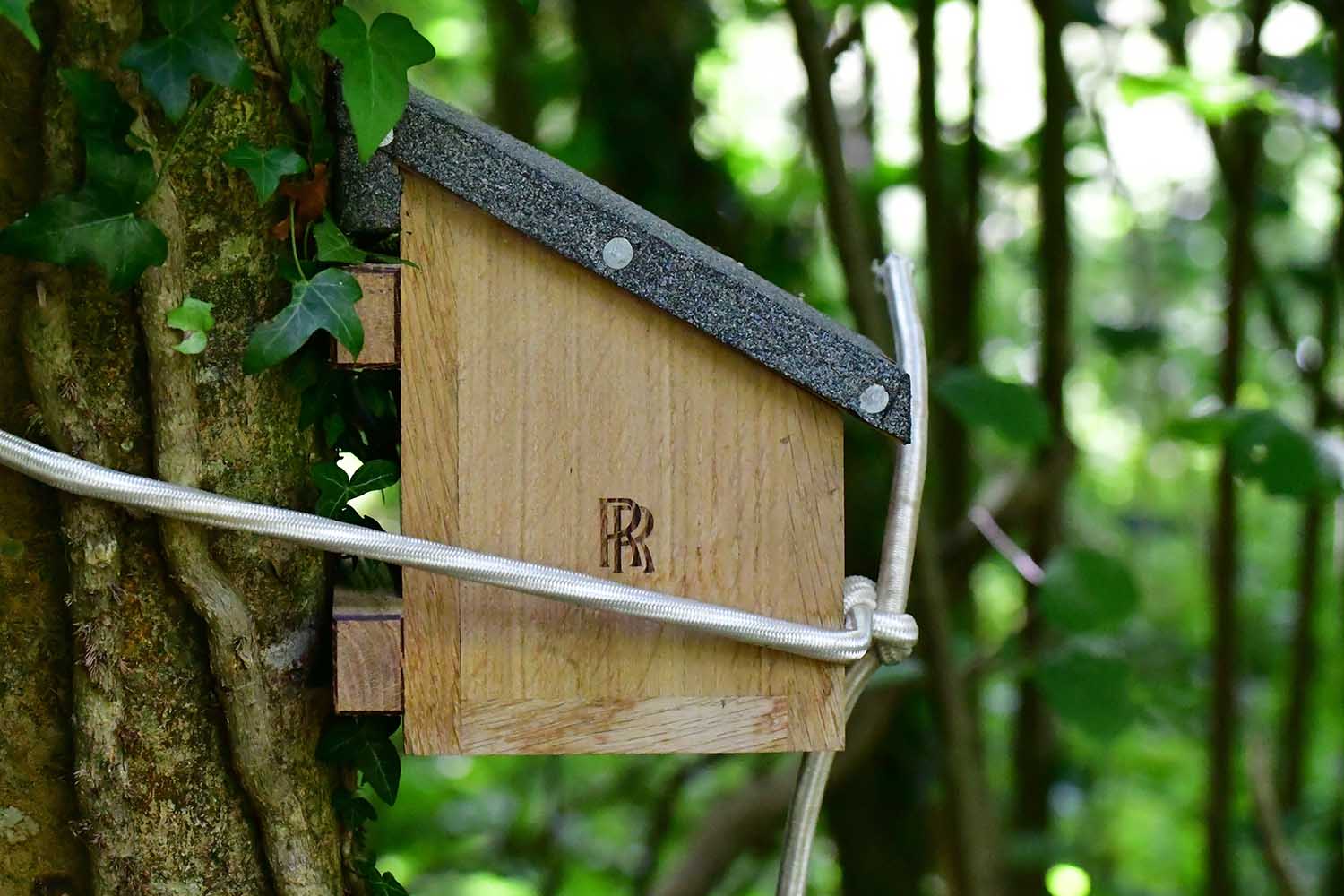 ロールス・ロイスが「巣箱」を製作!? 絶滅危惧種のヤマネを救うため、見習い社員たちが巣箱を設置した理由とは？