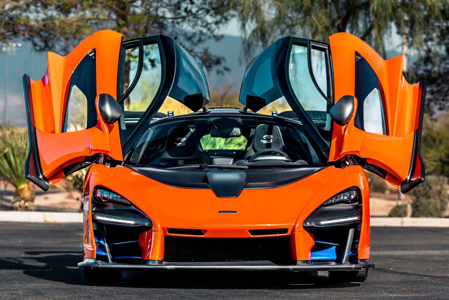 08_AMW_250129_McLaren-Senna_.jpeg