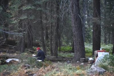 年配の一人ハイカー。彼にとっては、荷物が重くなっても本は欠かせないのか