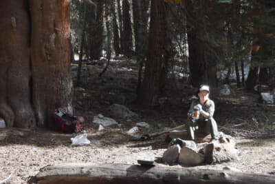 ファイアーリングのメンテに回ってきたレンジャー