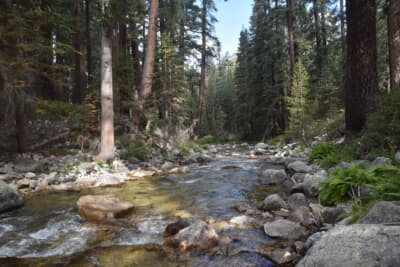 テントサイトの横を流れる川