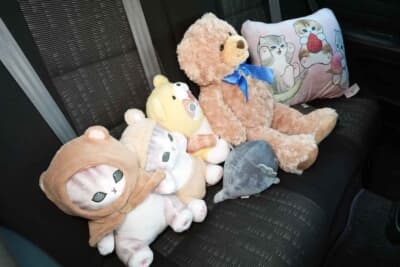 トヨタ アルテッツァ：4ドアのFR車が欲しかったという詩乃さん。普段はぬいぐるみが占拠するリアシートだけど、サーキットに行くときはタイヤ置き場になる？