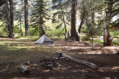 この日は、ぼく一人きりだった