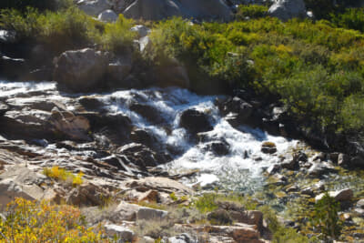 一瞬たりとも留まらず流れ続ける川は偉大だ