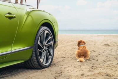 コンシェルジュ・サービスには犬の散歩が含まれる