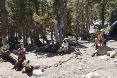 5日後、仲間と合流。みんな元気でよかった