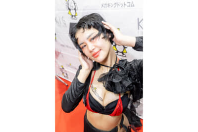 メガキングドットコムののりえもんさん