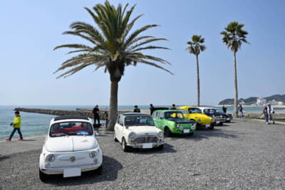 高いヤシの木のある会場は、シチリア島の海辺の田舎街のような雰囲気