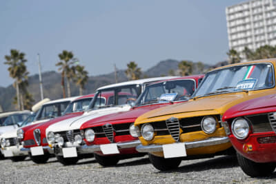 クラシック・アルファ ロメオたちも多数参加