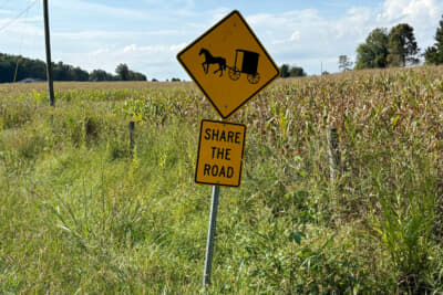 この地域には17世紀の生活様式を守るアーミッシュが住んでいる。彼らはいまだに馬車を移動手段にする