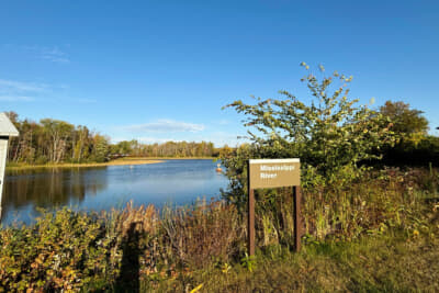 ゆるやかなミシシッピの流れ