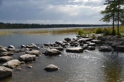 大河の流れも一滴から。ミシシッピ川の源流は静かな小川だった