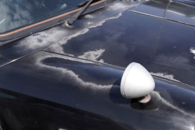 ローバー ミニ クーパー 1.3：経年劣化によりクリアが飛んでボディ上面はご覧の通り。ただし普段使いしていることから致命的なダメージはないそうだ