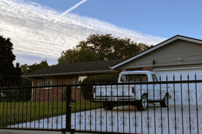 きれいに維持されたフォード・トラック