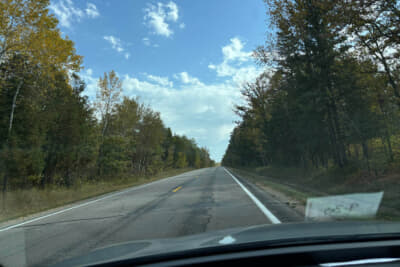 ミネソタのハイウェイ。北国の景色だ