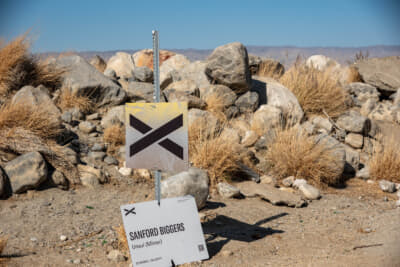 作品の脇のプレートにあるQRコードから詳細を確認できる