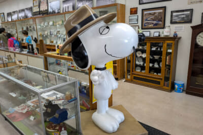 『ピーナッツ』作内でスヌーピーの兄のスパイクは、ニードルスに住んでいるという設定だ