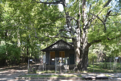 思わず目を疑ったアレサ・フランクリンの生家
