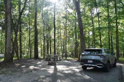 キャンプ場にチェックイン。気持ちいい!