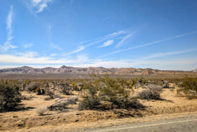 ジョシュアツリー国立公園内を東から西へ。しばらく何もない荒涼とした風景が続く