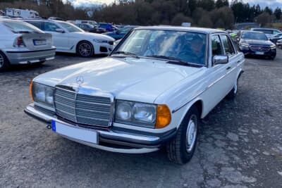 ツーリスト走行を見学する人達のクルマは多種多様です