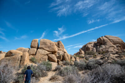 巨岩が立ち並ぶのもジョシュアツリー国立公園の特徴だ