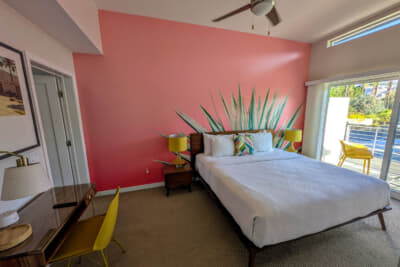 現地の植物の絵がカラフルに空間を彩る