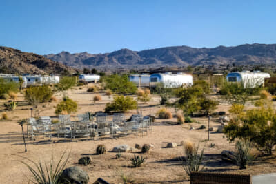 アメリカを代表するキャンピングトレーラー、エアストリームのサイトが大量に並ぶ