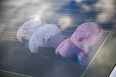 ドイツの日本車好きのアイテムのひとつ。キャラクターのぬいぐるみ