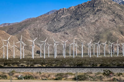 風力発電の風車が並ぶパームスプリングス・ウィンドミル。映画『セブン』のラストシーンでもおなじみ