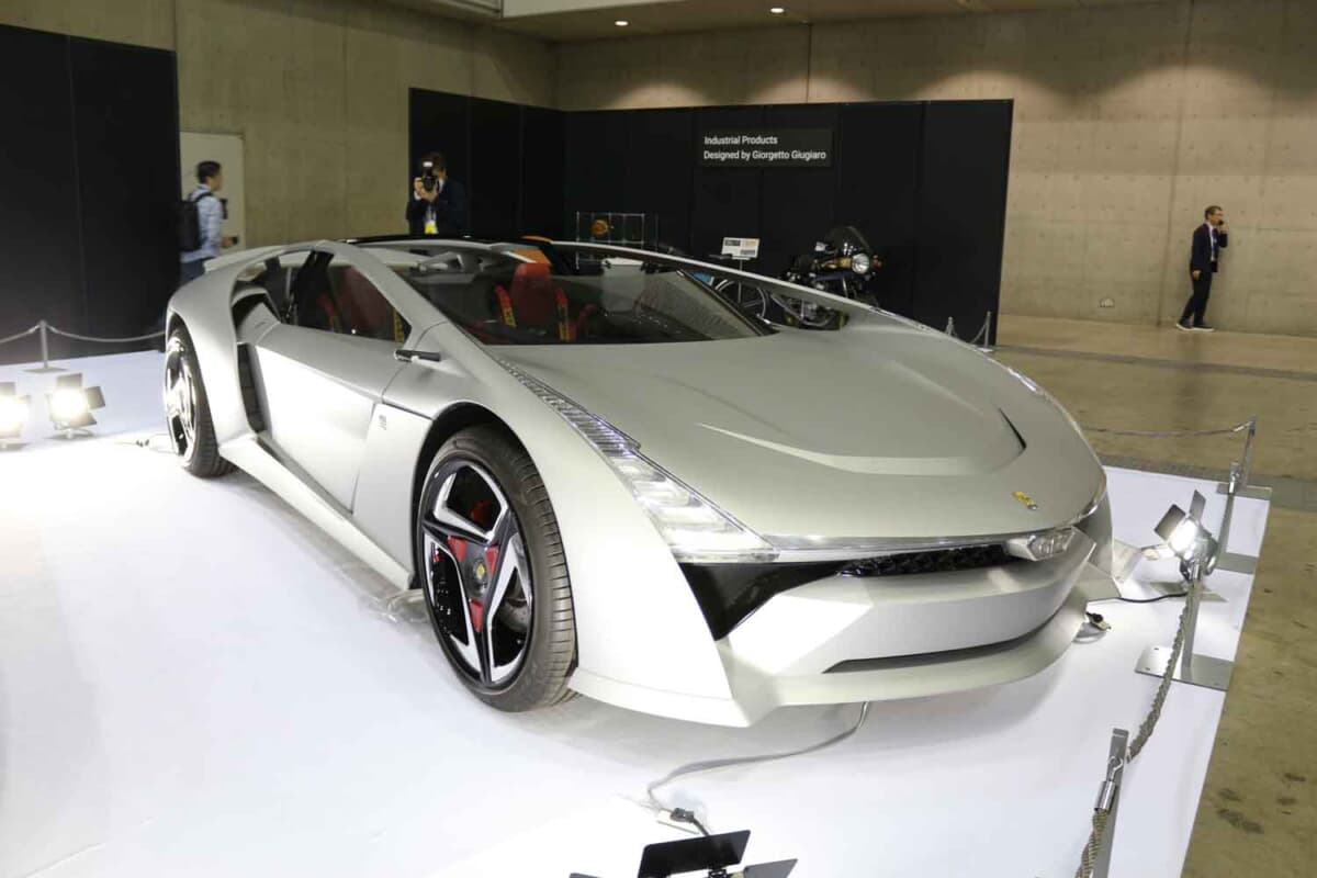 バンディーニ ドーラ（2020年デビュー）