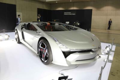 バンディーニ ドーラ（2020年デビュー）