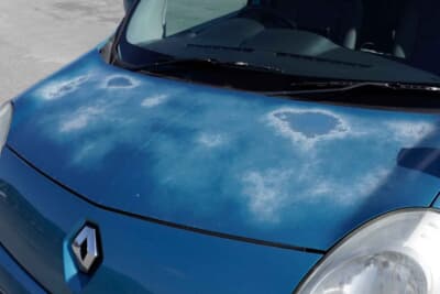 ルノー カングー：占い師という珍しい職種の“サイドンさん”。クリア飛びしているボンネットもお気に入りだという。「空に浮かんだ雲みたいでしょ」とポエミーな一面を見せた