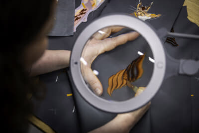 複雑な立体刺繍技法やリスの尾の質感とボリューム感を再現するための「タフティング」という技法を採用