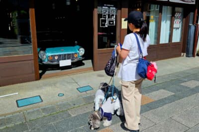 ペットと一緒に見られるのも嬉しい