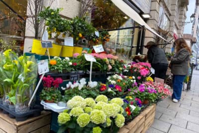 街角のお花屋さんも美しいです