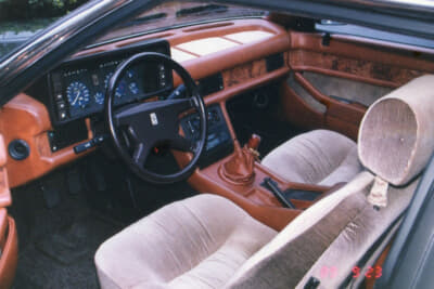 ウッドがふんだんに使われた、エロティックと品位の狭間にあるとも表現できる豪華なインテリア