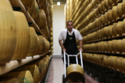 パルミジャーノ・レッジャーノは、最低でも12カ月以上の熟成が必要となる（2018年のイタリア取材にて）