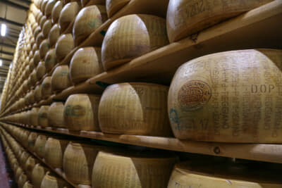 パルミジャーノ・レッジャーノは、12カ月から48カ月以上熟成、乳牛の品種や熟成期間によって異なる風味が楽しめ 、味わいはナッツのような香りと旨み、豊かなコクがあり、熟成期間が長いほど濃厚で深い味わいになる（2018年のイタリア取材にて）