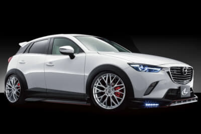 CX-3にセットしたレオニスMX