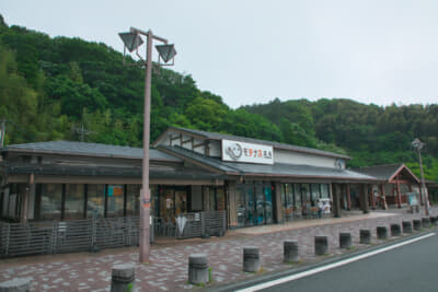 緑に囲まれた和風の建物が映える