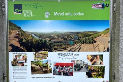 あまりお酒は飲めませんが、いつかワイン醸造所が経営しているホテルに泊まっておいしいお食事とワインを堪能してみたいですね